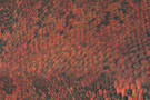 Faux Red Python